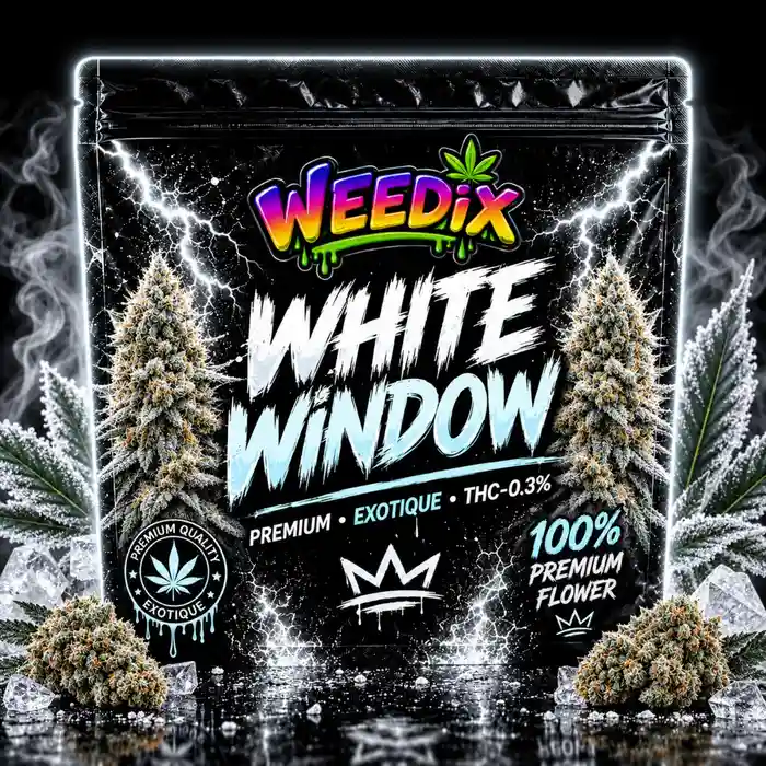 White Widow Fleur CBD Premium WEEDIX au profil fruité et tropical